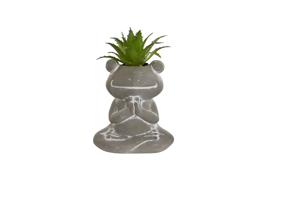 PLANTA CEMENTO PE 7.5X5X11CM RANA